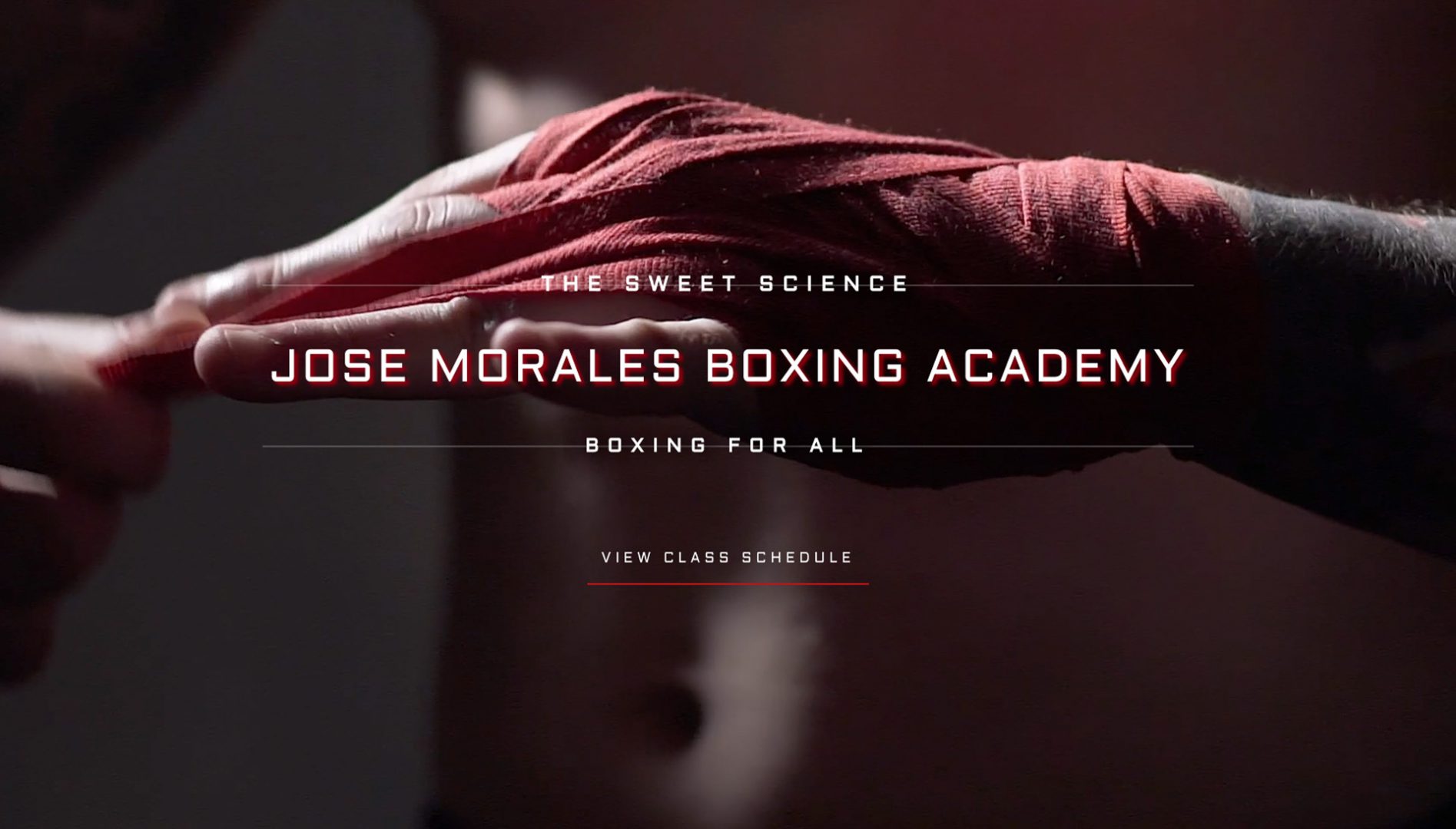 The Boxing Academy: sport website design idea