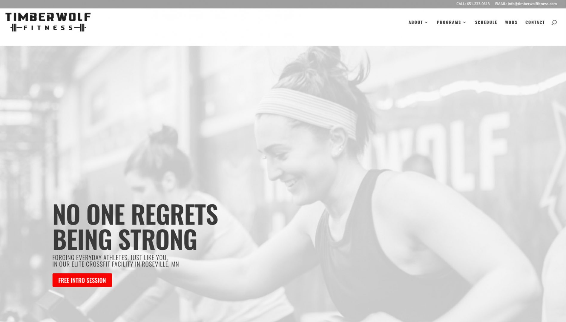 Timberwolf Fitness website example