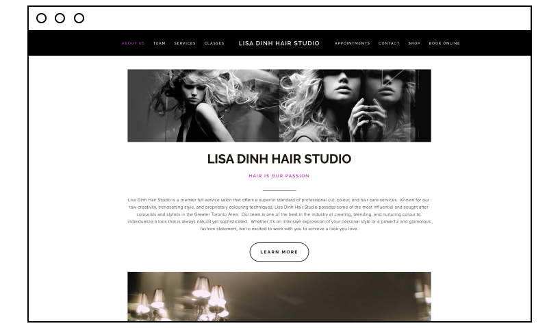 Lisa Dinh Hair Studio website designs