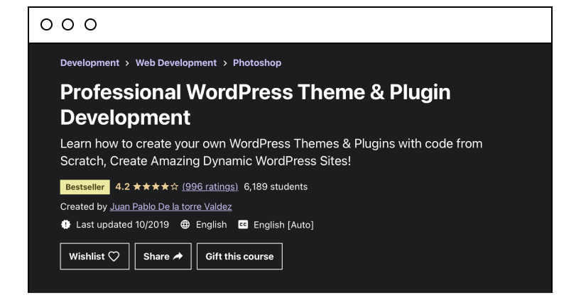 Professional WordPress Theme & Plugin Development